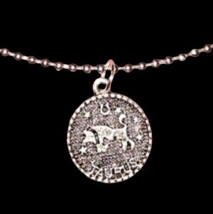 TAURUS Bull Zodiac Charm Silver Pendant Necklace Astrology Choker or Long Unisex